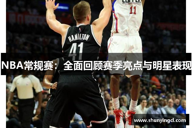 NBA常规赛：全面回顾赛季亮点与明星表现