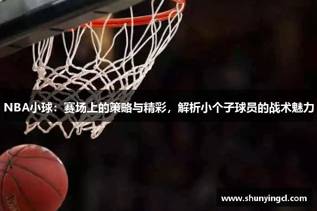 NBA小球：赛场上的策略与精彩，解析小个子球员的战术魅力