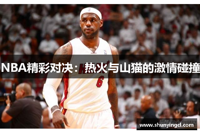 NBA精彩对决：热火与山猫的激情碰撞
