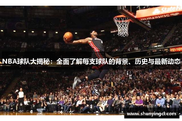 NBA球队大揭秘：全面了解每支球队的背景、历史与最新动态