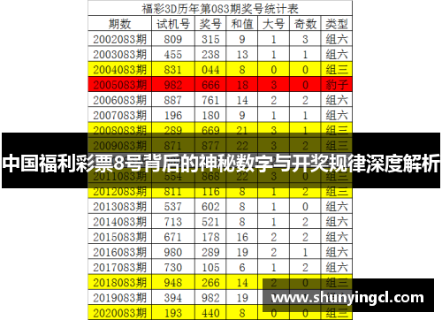 中国福利彩票8号背后的神秘数字与开奖规律深度解析