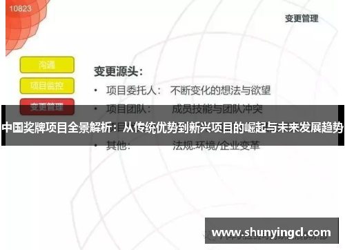中国奖牌项目全景解析：从传统优势到新兴项目的崛起与未来发展趋势