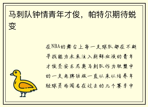 马刺队钟情青年才俊，帕特尔期待蜕变